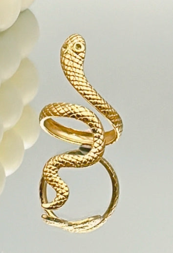 Snake