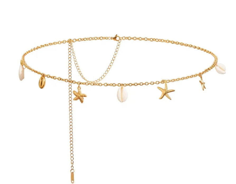 Chaines de taille