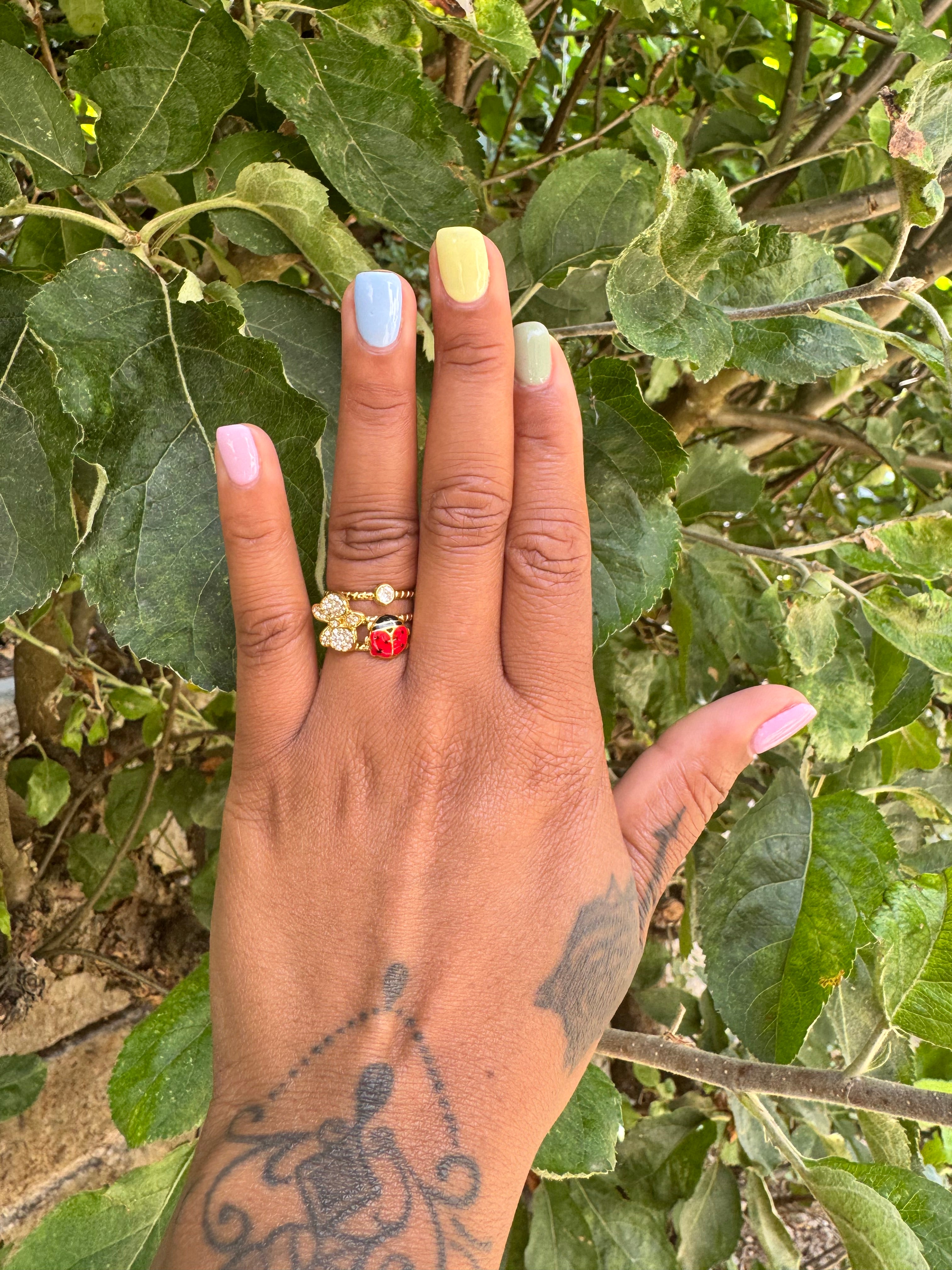 Coccinelle